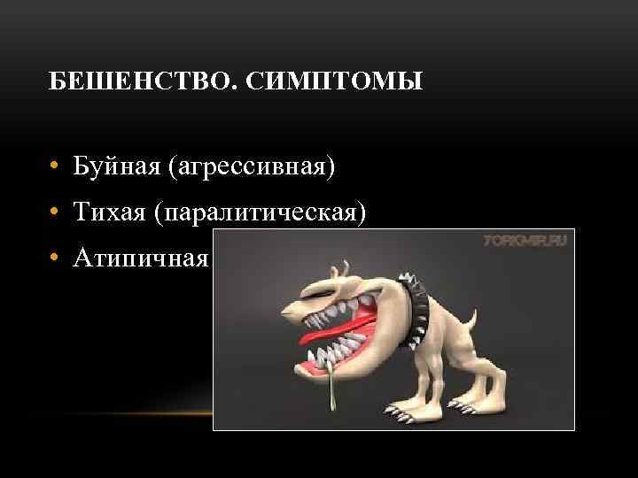 БЕШЕНСТВО. СИМПТОМЫ • Буйная (агрессивная) • Тихая (паралитическая) • Атипичная 