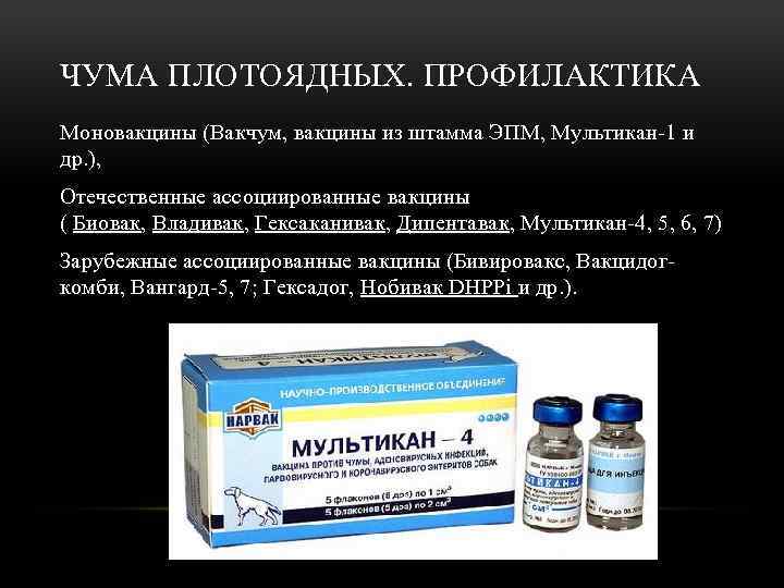 ЧУМА ПЛОТОЯДНЫХ. ПРОФИЛАКТИКА Моновакцины (Вакчум, вакцины из штамма ЭПМ, Мультикан-1 и др. ), Отечественные