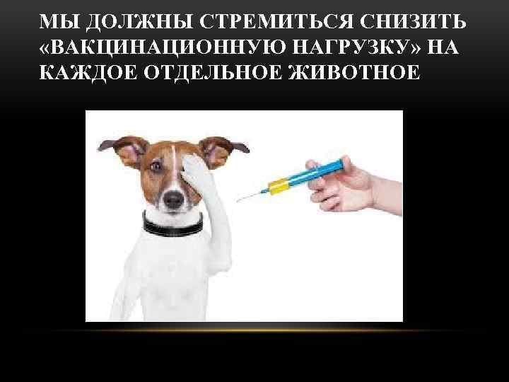 МЫ ДОЛЖНЫ СТРЕМИТЬСЯ СНИЗИТЬ «ВАКЦИНАЦИОННУЮ НАГРУЗКУ» НА КАЖДОЕ ОТДЕЛЬНОЕ ЖИВОТНОЕ 