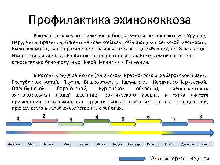 Профилактика эхинококкоза В ходе программ по снижению заболеваемости эхинококкозом в Уругвае, Перу, Чили, Бразилии,