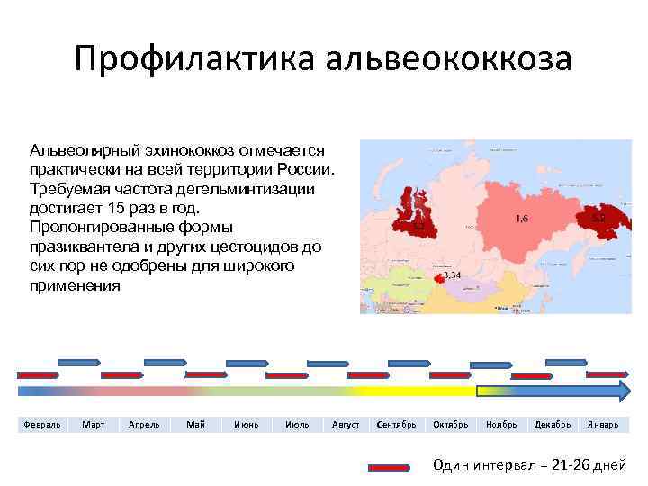 Профилактика альвеококкоза Альвеолярный эхинококкоз отмечается практически на всей территории России. Требуемая частота дегельминтизации достигает