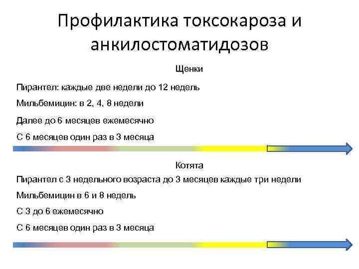 Профилактика токсокароза и анкилостоматидозов Щенки Пирантел: каждые две недели до 12 недель Мильбемицин: в