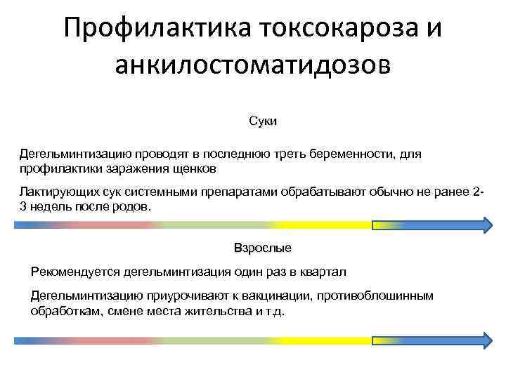 Профилактика токсокароза и анкилостоматидозов Суки Дегельминтизацию проводят в последнюю треть беременности, для профилактики заражения