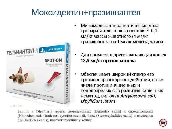 Моксидектин+празиквантел • Минимальная терапевтическая доза препарата для кошек составляет 0, 1 мл/кг массы животного