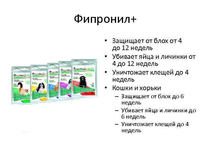 Фипронил+ • Защищает от блох от 4 до 12 недель • Убивает яйца и