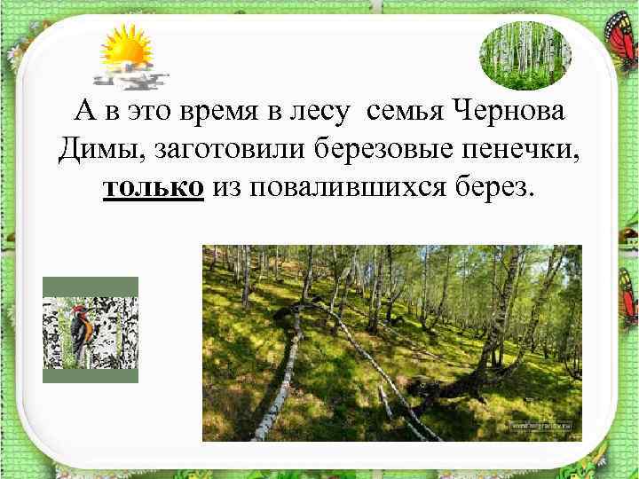 А в это время в лесу семья Чернова Димы, заготовили березовые пенечки, только из