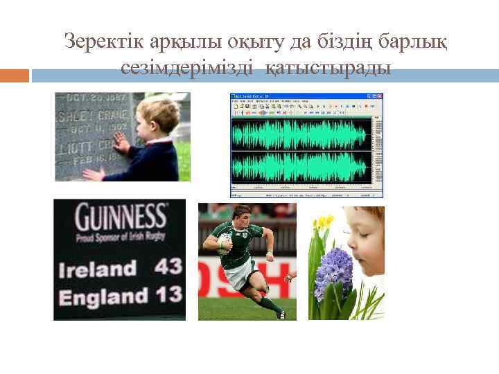Зеректік арқылы оқыту да біздің барлық сезімдерімізді қатыстырады 