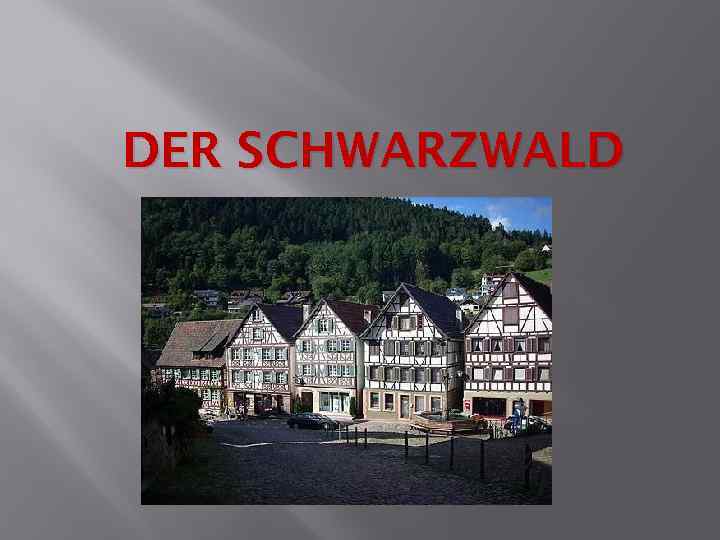 DER SCHWARZWALD 