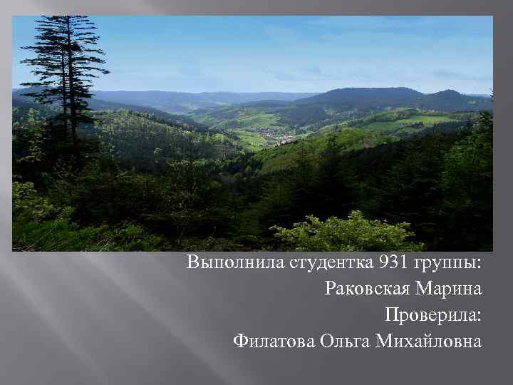 Выполнила студентка 931 группы: Раковская Марина Проверила: Филатова Ольга Михайловна 