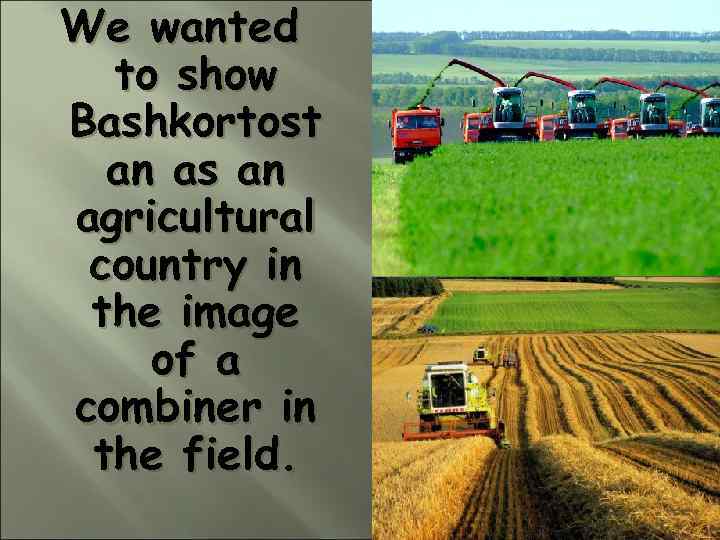 We wanted to show Bashkortost an as an agricultural country in the image of