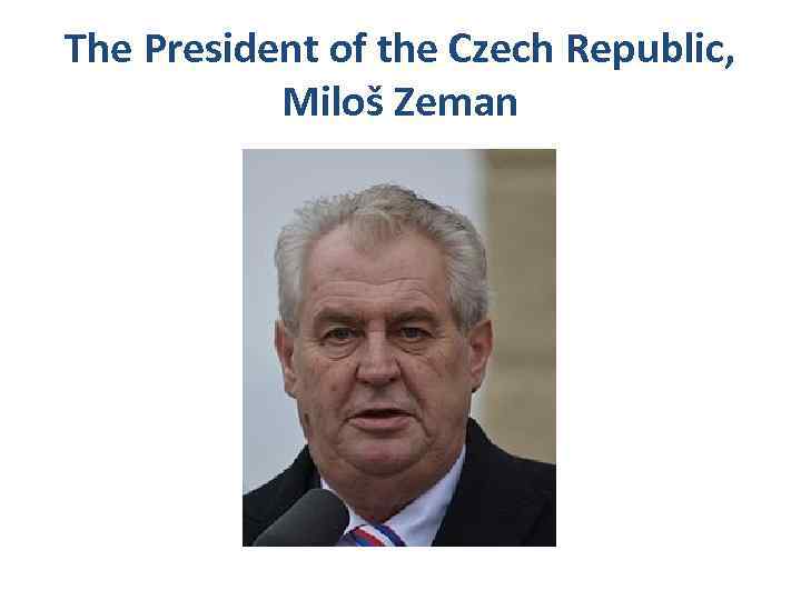 The President of the Czech Republic, Miloš Zeman 