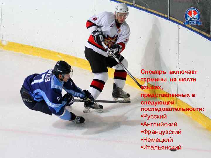 Словарь включает термины на шести языках, представленных в следующей последовательности: • Русский • Английский
