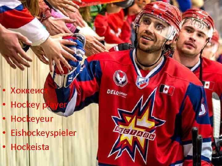  • • • Хоккеист Hockey player Hockeyeur Eishockeyspieler Hockeista 
