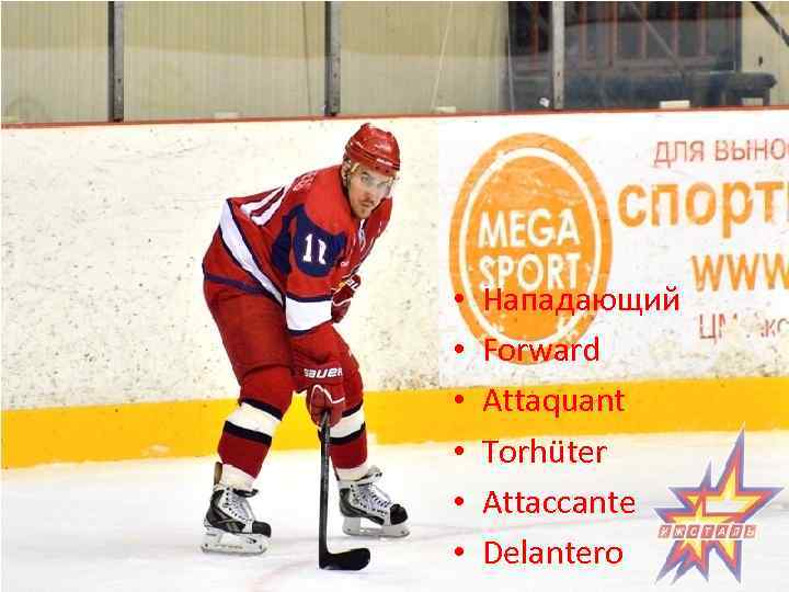  • • • Нападающий Forward Attaquant Torhüter Attaccante Delantero 