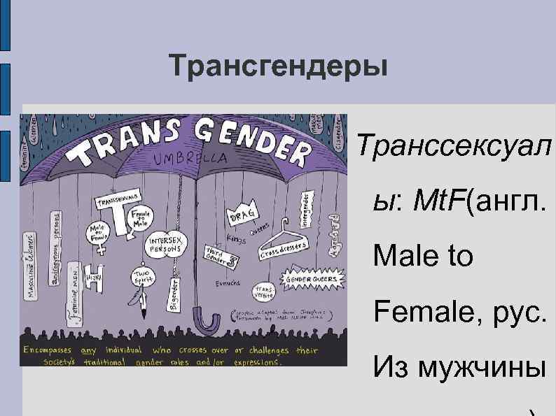 Трансгендеры Транссексуал ы: Mt. F(англ. Male to Female, рус. Из мужчины 