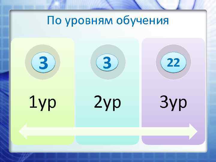 По уровням обучения 3 3 22 1 ур 2 ур 3 ур 