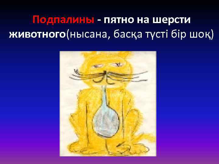 Подпалины - пятно на шерсти животного(нысана, басқа түсті бір шоқ) 