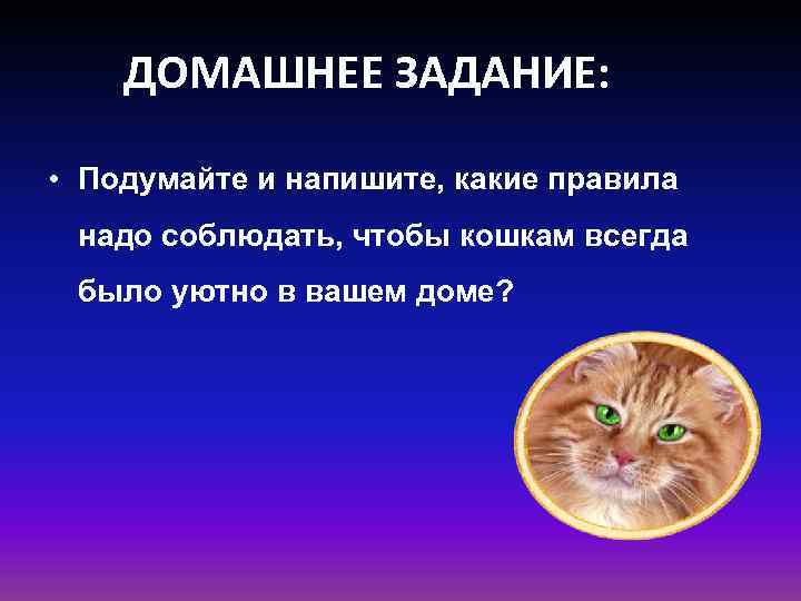 ДОМАШНЕЕ ЗАДАНИЕ: • Подумайте и напишите, какие правила надо соблюдать, чтобы кошкам всегда было