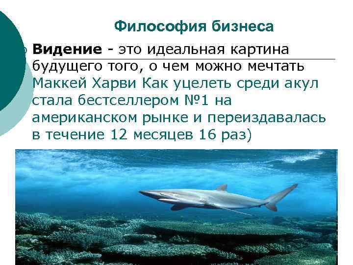 Философия бизнеса ¡ Видение - это идеальная картина будущего того, о чем можно мечтать