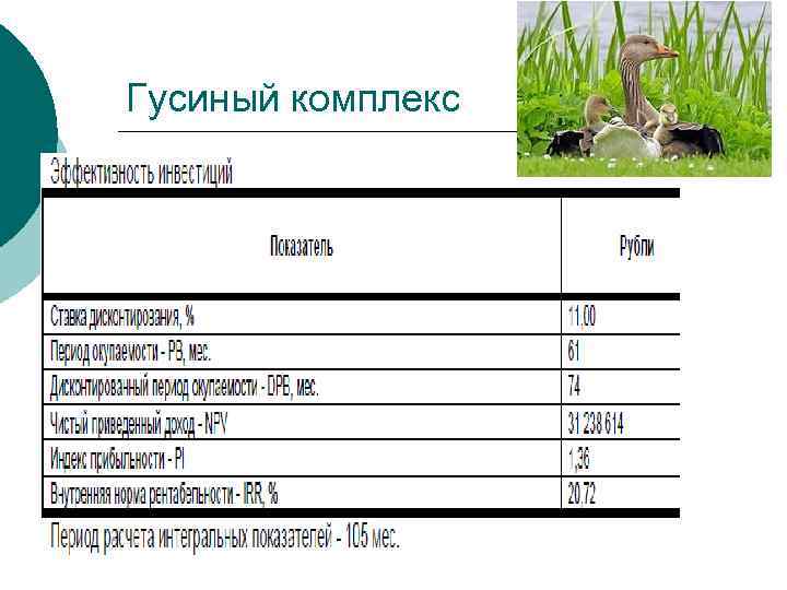 Гусиный комплекс 