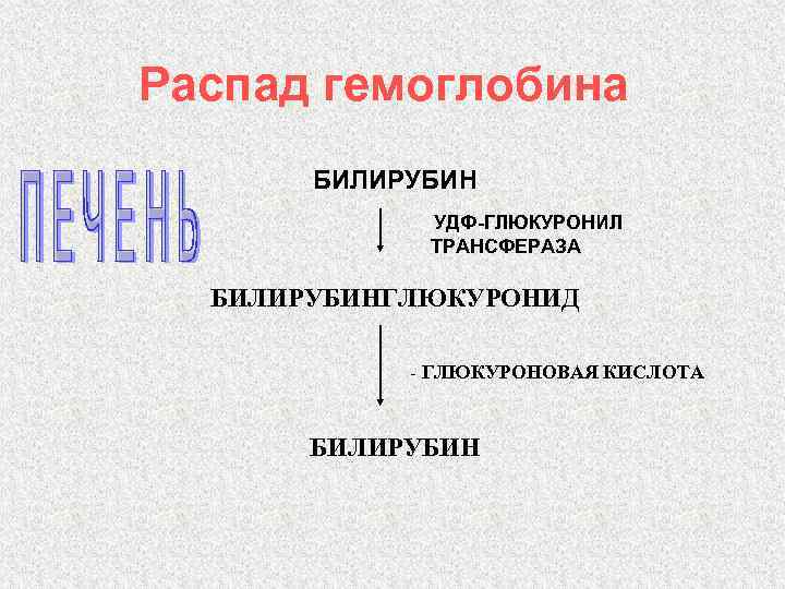 Распад гемоглобина БИЛИРУБИН УДФ-ГЛЮКУРОНИЛ ТРАНСФЕРАЗА БИЛИРУБИНГЛЮКУРОНИД - ГЛЮКУРОНОВАЯ КИСЛОТА БИЛИРУБИН 