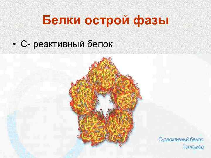 Белки острой фазы • С- реактивный белок 