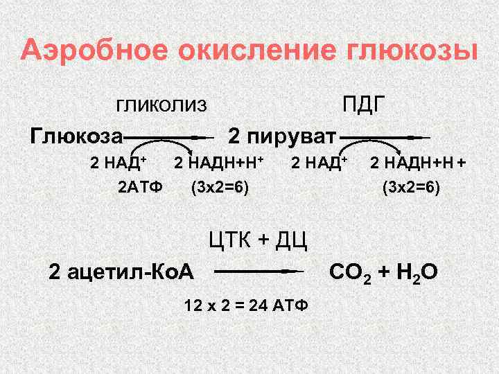 Окисление глюкозы кислородом