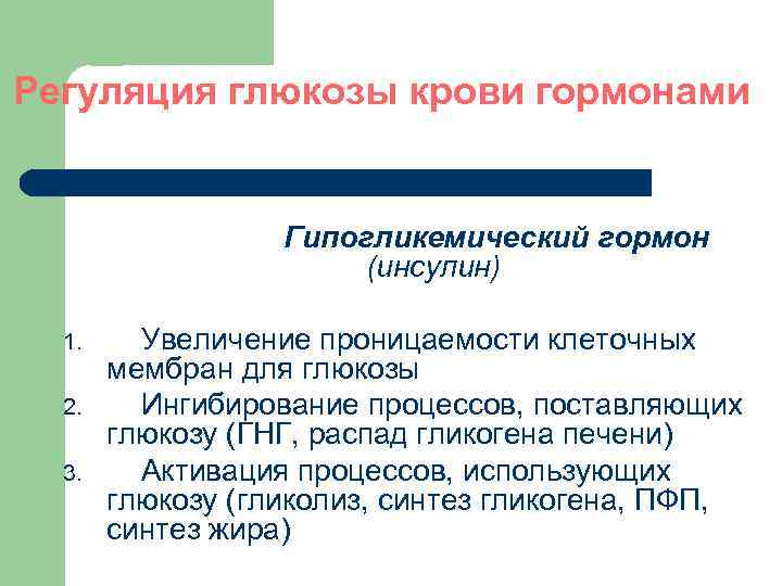 Регуляция глюкозы крови гормонами Гипогликемический гормон (инсулин) 1. 2. 3. Увеличение проницаемости клеточных мембран
