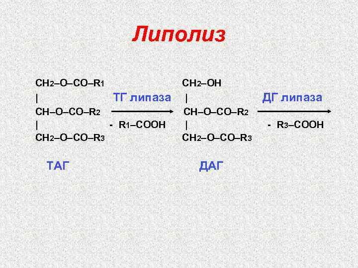 Липолиз СН 2–О–СО–R 1 СН 2–ОН | ТГ липаза CН–О–СО–R 2 | - R