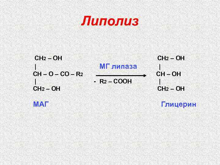 Липолиз CН 2 – ОН | CН – О – СО – R 2