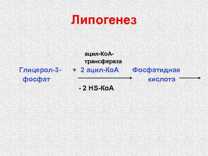 Липогенез ацил-Ко. Атрансфераза Глицерол-3 фосфат + 2 ацил-Ко. А - 2 НS-Ко. А Фосфатидная