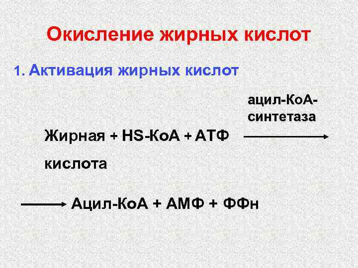Окисление жирных кислот 1. Активация жирных кислот ацил-Ко. Асинтетаза Жирная + НS-Ко. А +