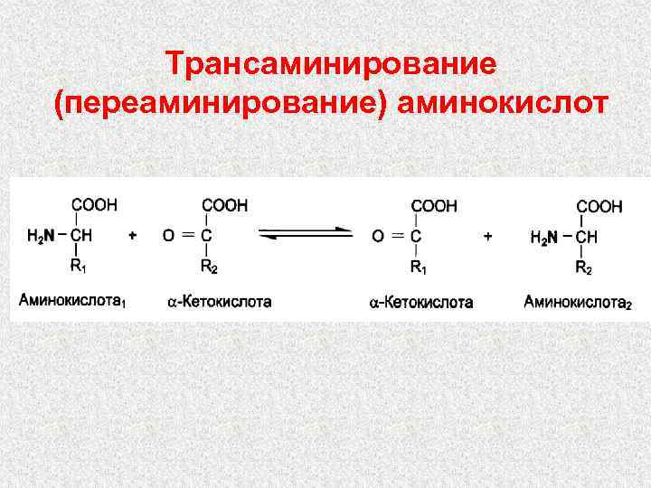 Трансаминирование (переаминирование) аминокислот 