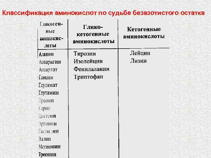 Классификация аминокислот по судьбе безазотистого остатка 