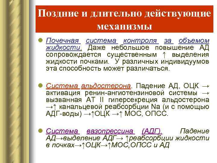 Поздние и длительно действующие механизмы l Почечная система контроля за объемом жидкости. Даже небольшое