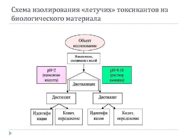 Схема изолирования «летучих» токсикантов из биологического материала 