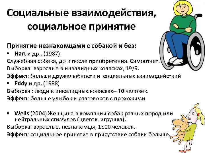 Социальные взаимодействия, социальное принятие Принятие незнакомцами с собакой и без: • Hart и др.