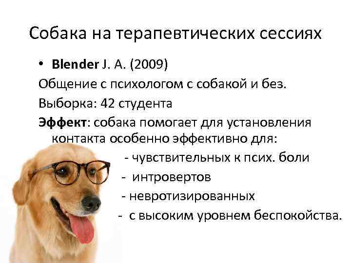 Собака на терапевтических сессиях • Blender J. A. (2009) Общение с психологом с собакой