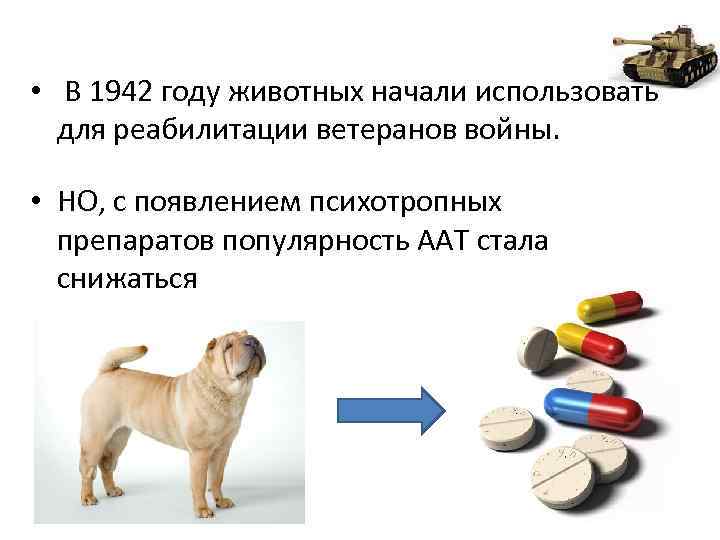  • В 1942 году животных начали использовать для реабилитации ветеранов войны. • НО,
