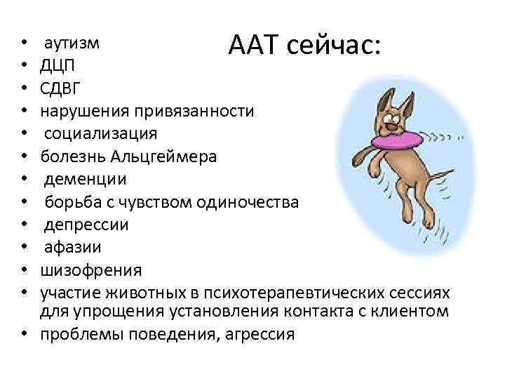 ААТ сейчас: аутизм ДЦП СДВГ нарушения привязанности социализация болезнь Альцгеймера деменции борьба с чувством