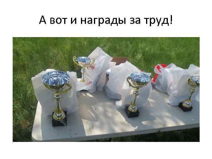 А вот и награды за труд! 