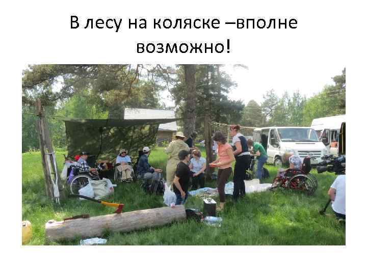 В лесу на коляске –вполне возможно! 