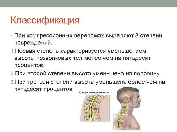 Классификация • При компрессионных переломах выделяют 3 степени повреждений. 1. Первая степень характеризуется уменьшением