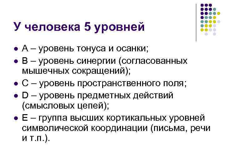 У человека 5 уровней l l l A – уровень тонуса и осанки; B