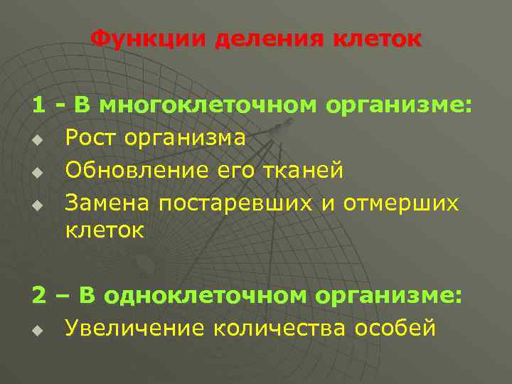 Роль клетки в жизни организмов