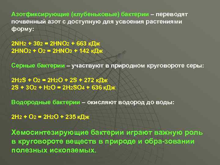 Азотфиксирующие (клубеньковые) бактерии – переводят почвенный азот с доступную для усвоения растениями форму: 2