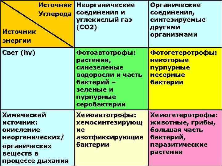 Источник Углерода Неорганические соединения и углекислый газ (СО 2) Органические соединения, синтезируемые другими организмами