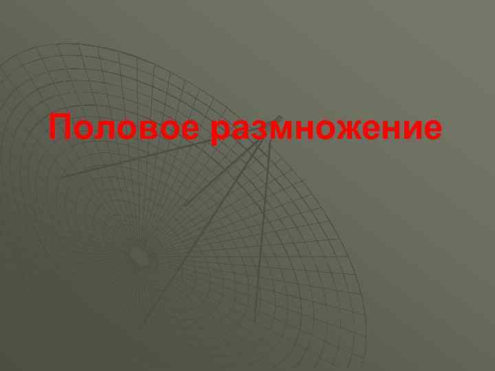 Половое размножение 