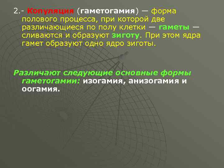 2. Копуляция (гаметогамия) — форма полового процесса, при которой две различающиеся по полу клетки