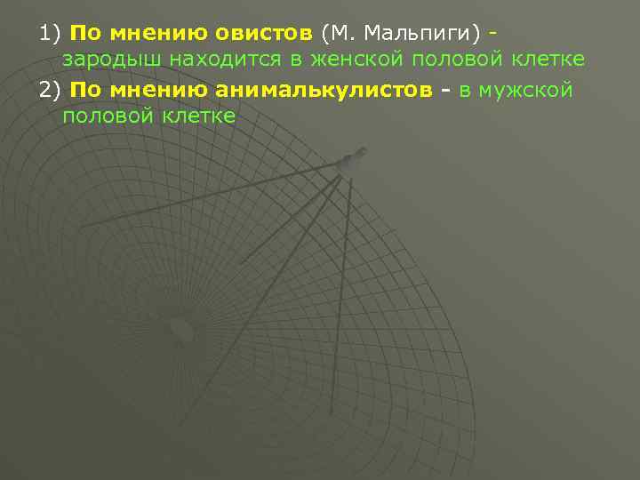 1) По мнению овистов (М. Мальпиги) зародыш находится в женской половой клетке 2) По